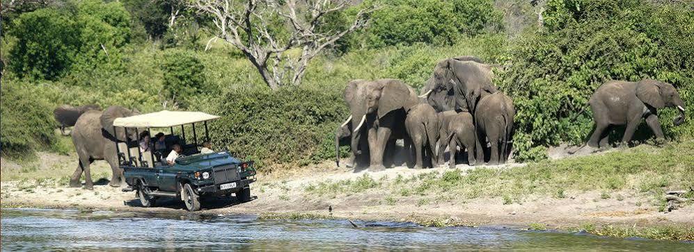 Tongabezi Lodge Simonga Luaran gambar